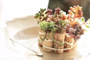 百Woo 二手衣.小市集