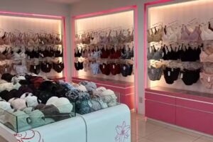 曼黛瑪璉-嘉義博愛內衣專門店