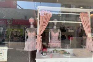 NEARBY逢甲門市（歐美性感內睡衣｜情趣用品兩性課程）