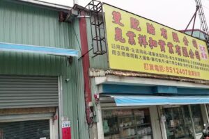 雙胞胎有限公司