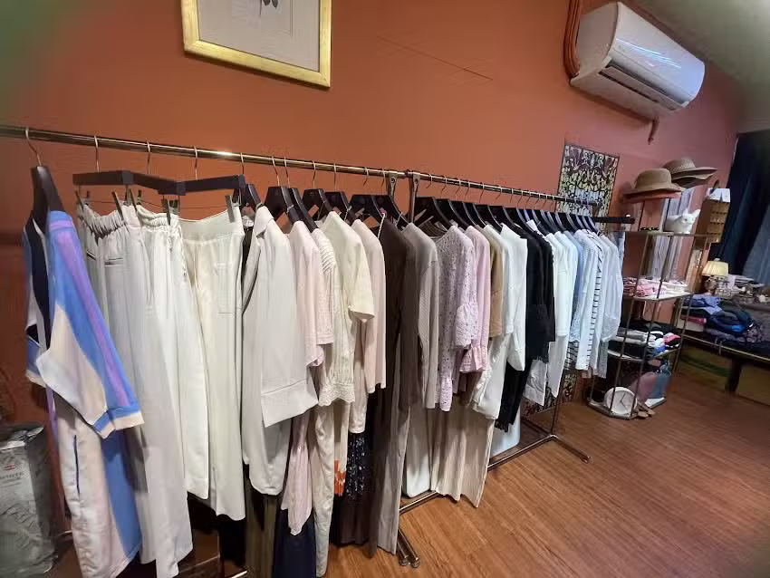 塔羅占卜/寵物占卜/牌卡教學/正韓洋裝/服飾店裡的占卜師