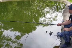 淘寶 阿里巴巴 批發商城