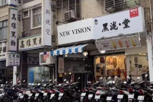新視覺 new vision